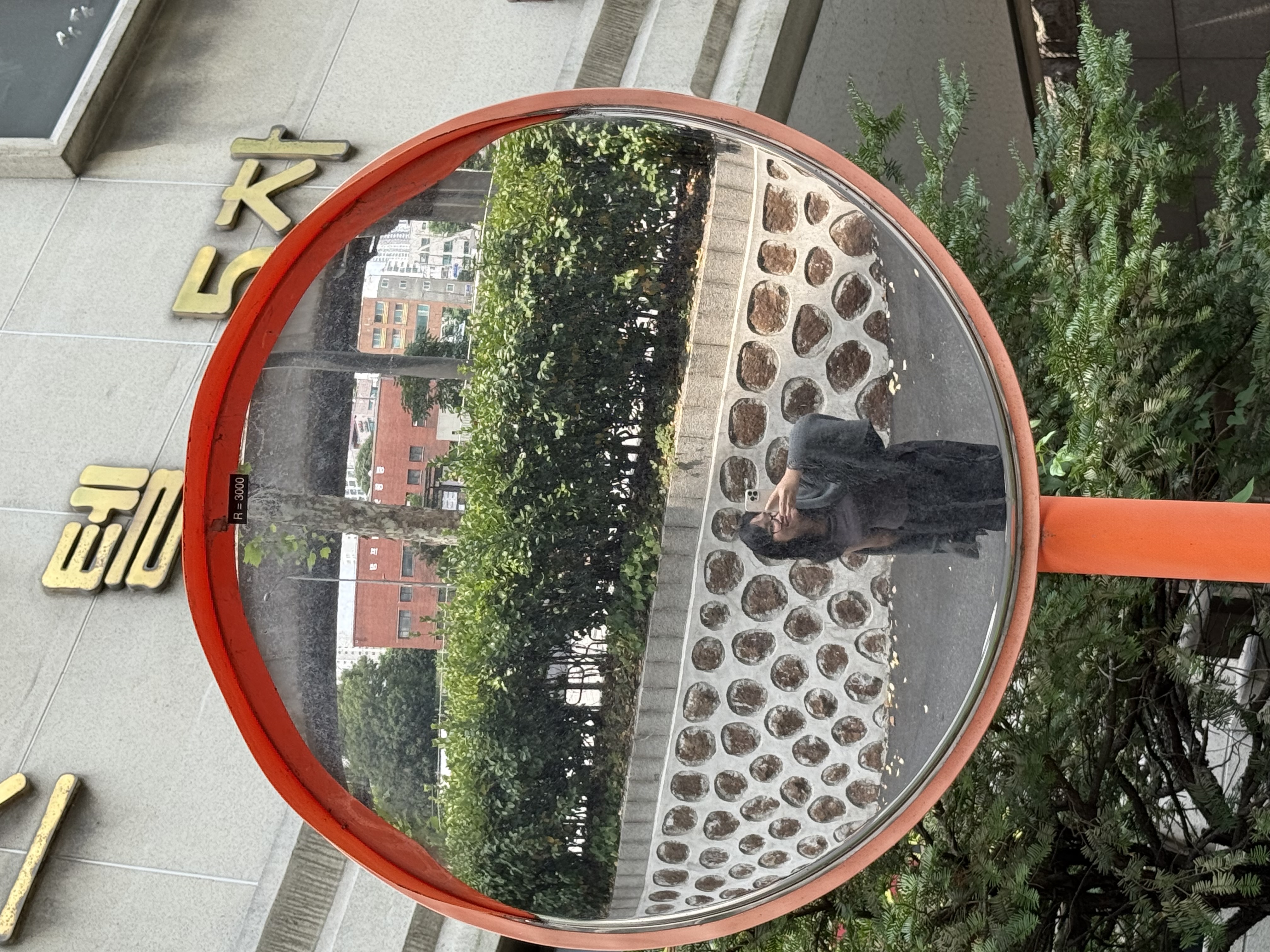 Trần Vũ Bảo Linh 